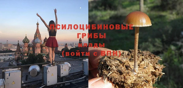 spice Абаза